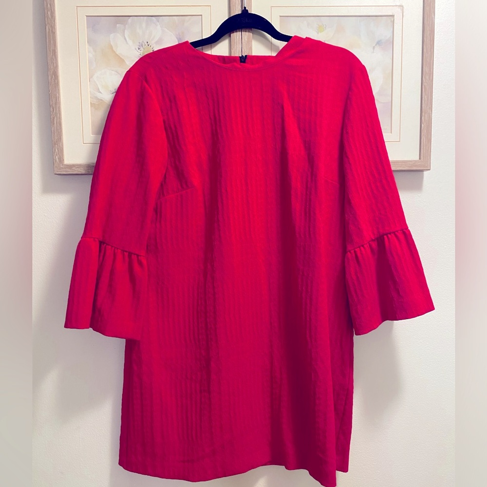 Zara dress